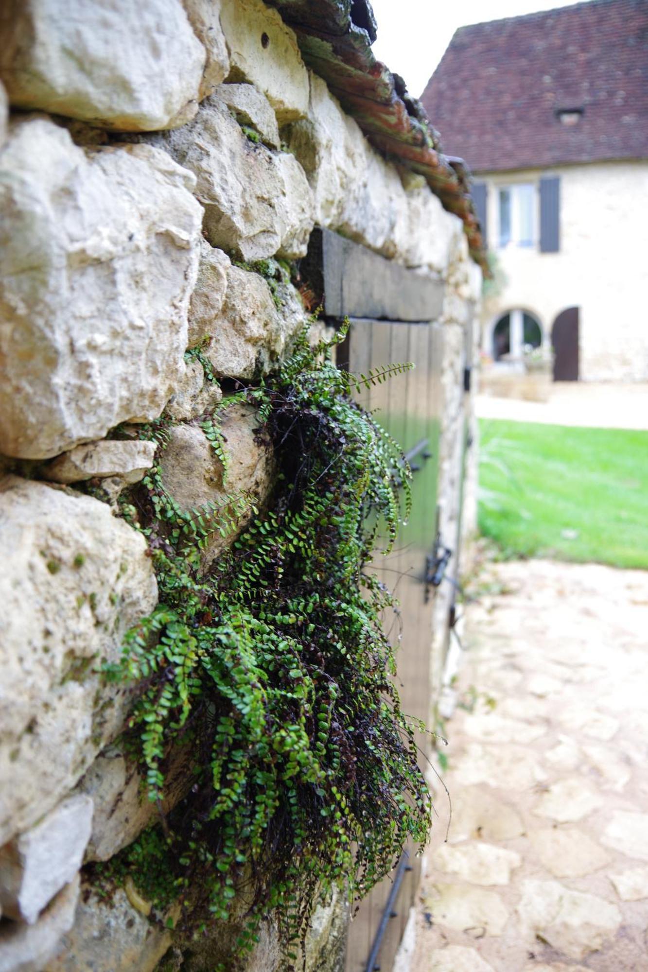 Demeure Du Vallon - Chambres D'Hotes De Charme Azerat Exterior foto